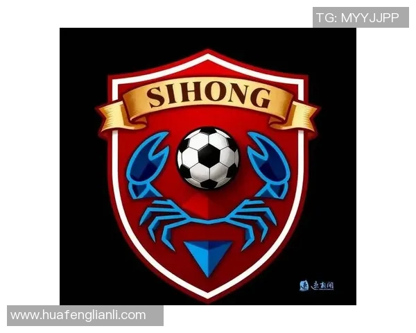 探秘足球球队队徽背后的故事与文化象征解析 探秘足球球队队徽背后的故事与文化象征解析