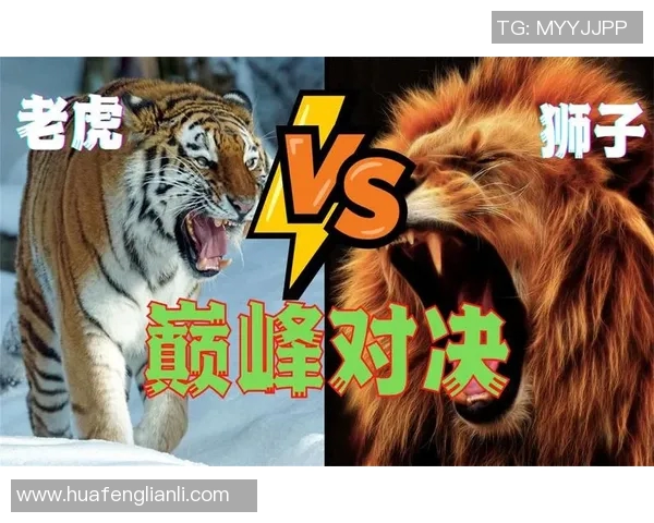 老虎大学与阿特拉斯的激烈对决揭示了体育精神与团队合作的重要性